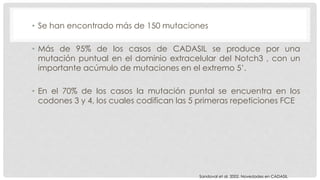 • Se han encontrado más de 150 mutaciones 
• Más de 95% de los casos de CADASIL se produce por una 
mutación puntual en el dominio extracelular del Notch3 , con un 
importante acúmulo de mutaciones en el extremo 5’. 
• En el 70% de los casos la mutación puntal se encuentra en los 
codones 3 y 4, los cuales codifican las 5 primeras repeticiones FCE 
Sandoval et al. 2002. Novedades en CADASIL 
 