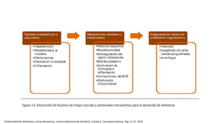 Enfermedad de Alzheimer y otras demencias. Instituto Nacional de Geriatría. Unidad 2. Conceptos básicos. Pag 17-37. 2014
 