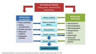 Enfermedad de Alzheimer y otras demencias. Instituto Nacional de Geriatría. Unidad 2. Conceptos básicos. Pag 17-37. 2014
 