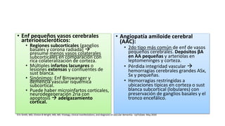 • Enf pequeños vasos cerebrales
arterioescleróticos:
• Regiones subcorticales (ganglios
basales y corona radiada) 
presume menos vasos colaterales
subcorticales en comparación con
rica colateralización de corteza.
• Múltiples infartos lacunares o
lesiones extensas y confluentes de
sust blanca.
• Sinónimos: Enf Binswanger y
demencia vascular isquémica
subcortical.
• Puede haber microinfartos corticales,
neurodegeneración 2ria con
apoptosis  adelgazamiento
cortical.
• Angiopatía amiloide cerebral
(AAC):
• 2do tipo más común de enf de vasos
pequeños cerebrales. Depósitos βA
en AA pequeñas y arteriolas en
leptomeninges y corteza.
• Pérdida integridad vascular 
hemorragias cerebrales grandes ASx,
Sx y pequeñas.
• Hemorragias restringidas a
ubicaciones típicas en corteza o sust
blanca subcortical (lobulares) con
preservación de ganglios basales y el
tronco encefálico.
Eric Smith, MD, Clinton B Wright, MD, MS. Etiology, clinical manifestations, and diagnosis of vascular dementia - UpToDate. May 2020
 