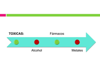 TOXICAS:
Alcohol
Fármacos
Metales
 
