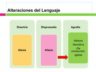 Alteraciones del Lenguaje
Disartria
Alexia
Disprosodia
Afasia
Agrafia
-Motora
-Sensitiva
-De
conducción
-global
 
