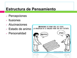 Estructura de Pensamiento
 Percepciones
 Ilusiones
 Alucinaciones
 Estado de animo
 Personalidad
 