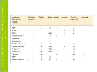ACVs corticales con manifestaciones del comportamiento y
                       cognitivas
 