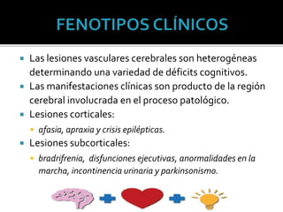  Las lesiones vasculares cerebrales son heterogéneas
determinando una variedad de déficits cognitivos.
 Las manifestaciones clínicas son producto de la región
cerebral involucrada en el proceso patológico.
 Lesiones corticales:
 afasia, apraxia y crisis epilépticas.
 Lesiones subcorticales:
 bradrifrenia, disfunciones ejecutivas, anormalidades en la
marcha, incontinencia urinaria y parkinsonismo.
 
