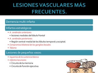 Demencia multi-infarto
Infartos estratégicos
• A. cerebrales anteriores:
• lesiones mediales del lóbulo frontal
• A .cerebrales posteriores:
• Región ventral-medial de los lóbulos temporal y occipital.
• Compromiso bilateral de los ganglios basales
• Tálamo
Lesiones de pequeños vasos:
• Isquemia de la sustancia blanca
• Infartos lacunares
• Circuito de la memoria
• Circuito de función ejecutiva
 