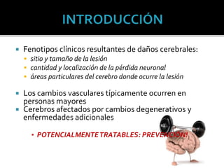  Fenotipos clínicos resultantes de daños cerebrales:
 sitio y tamaño de la lesión
 cantidad y localización de la pérdida neuronal
 áreas particulares del cerebro donde ocurre la lesión
 Los cambios vasculares típicamente ocurren en
personas mayores
 Cerebros afectados por cambios degenerativos y
enfermedades adicionales
▪ POTENCIALMENTETRATABLES: PREVENCIÓN!
 