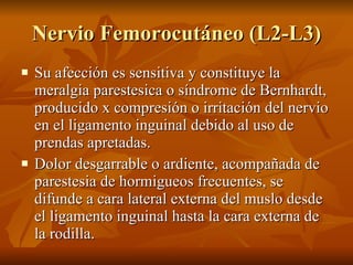 Nervio Femorocutáneo (L2-L3) <ul><li>Su afección es sensitiva y constituye la meralgia parestesica o síndrome de Bernhardt...