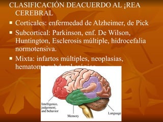 <ul><li>CLASIFICACIÓN DEACUERDO AL ÁREA CEREBRAL </li></ul><ul><li>Corticales: enfermedad de Alzheimer, de Pick </li></ul>...
