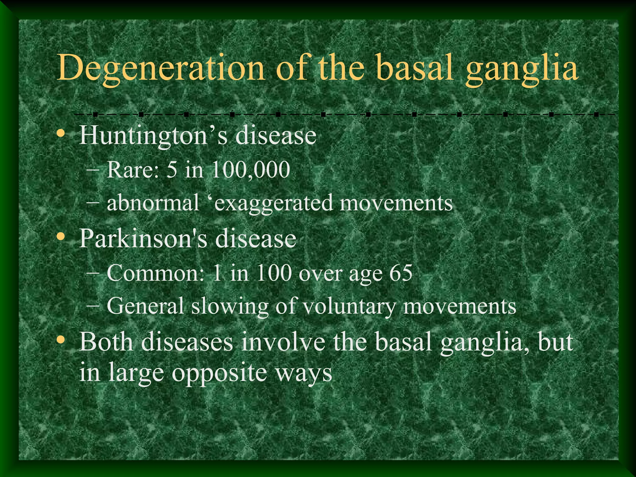 Degeneration of the basal ganglia
• Huntington’s disease
– Rare: 5 in 100,000
– abnormal ‘exaggerated movements
• Parkinson's disease
– Common: 1 in 100 over age 65
– General slowing of voluntary movements
• Both diseases involve the basal ganglia, but
in large opposite ways
 