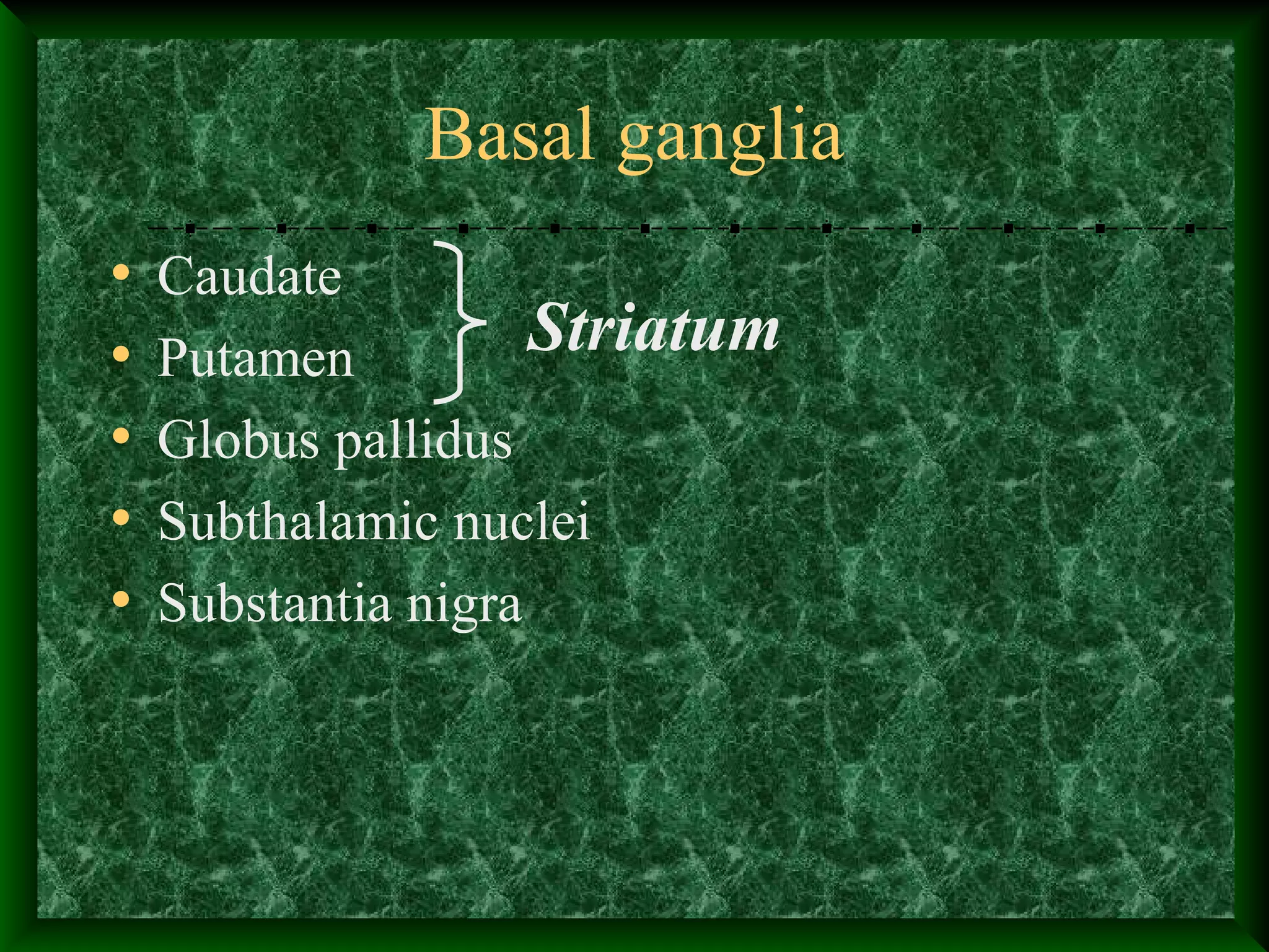Basal ganglia
• Caudate
• Putamen
• Globus pallidus
• Subthalamic nuclei
• Substantia nigra
Striatum
 
