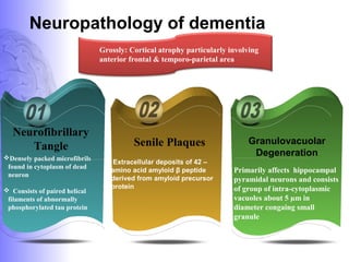 Neuropathology of dementia
Densely packed microfibrils
found in cytoplasm of dead
neuron
 Consists of paired helical
filaments of abnormally
phosphorylated tau protein
Primarily affects hippocampal
pyramidal neurons and consists
of group of intra-cytoplasmic
vacuoles about 5 µm in
diameter congaing small
granule
Neurofibrillary
Tangle Senile Plaques Granulovacuolar
Degeneration
Extracellular deposits of 42 –
amino acid amyloid β peptide
derived from amyloid precursor
protein
Grossly: Cortical atrophy particularly involving
anterior frontal & temporo-parietal area
 