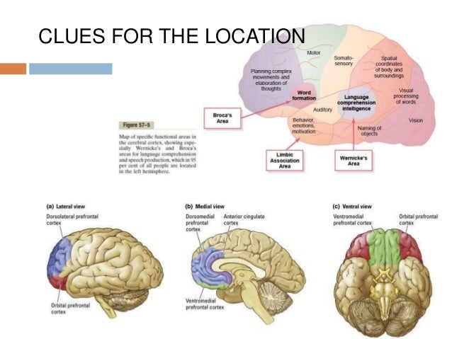 Approach to Dementia