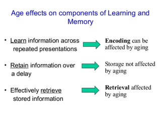 Dementia las vegas (1)