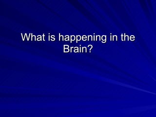 What is happening in the
         Brain?
 
