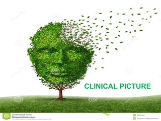 CLINICAL PICTURE 
 