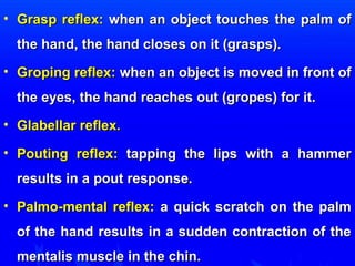 • GGrraasspp rreefflleexx:: wwhheenn aann oobbjjeecctt ttoouucchheess tthhee ppaallmm ooff 
tthhee hhaanndd,, tthhee hhaanndd cclloosseess oonn iitt ((ggrraassppss)).. 
• GGrrooppiinngg rreefflleexx:: wwhheenn aann oobbjjeecctt iiss mmoovveedd iinn ffrroonntt ooff 
tthhee eeyyeess,, tthhee hhaanndd rreeaacchheess oouutt ((ggrrooppeess)) ffoorr iitt.. 
• GGllaabbeellllaarr rreefflleexx.. 
• PPoouuttiinngg rreefflleexx:: ttaappppiinngg tthhee lliippss wwiitthh aa hhaammmmeerr 
rreessuullttss iinn aa ppoouutt rreessppoonnssee.. 
• PPaallmmoo--mmeennttaall rreefflleexx:: aa qquuiicckk ssccrraattcchh oonn tthhee ppaallmm 
ooff tthhee hhaanndd rreessuullttss iinn aa ssuuddddeenn ccoonnttrraaccttiioonn ooff tthhee 
mmeennttaalliiss mmuussccllee iinn tthhee cchhiinn.. 
 