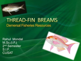 Demersal Fisheries Resources


Rahul Mondal
M.Sc.(I.F.)
2nd Semester
S.I.F.
CUSAT
 