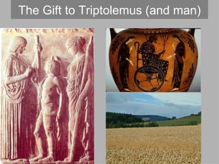 The Gift to Triptolemus (and man) 