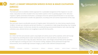 Description:
The Greek pilot aims to establish a holistic approach for a sustainable management of the irrigation in rice and
maize, crops which are often included in the crop rotation systems in the rice-growing regions of EU. And since
irrigation is tightly connected to fertilisation, a prototype service for optimal spatial fertilisation in rice and maize
will be tested and optimised for variable rate applications, according to the real nutrient requirements of the crops.
Problem:
Rice and maize require considerable amounts of irrigation water. Particularly for rice, every hectare requires almost
12,000 m3 of water per cultivation period and, therefore, it is considered as a high energy demanding crop, including
the fertilization impacts. Furthermore, besides the considerable big environmental footprint, both crops have high
cultivation costs, whereas farmers are struggling to cope with the low profits.
Solution:
An in-field, real-time and automatic system using height and salinity sensors will be exploited, which will manage
rice irrigation by controlling electric water input/output valves in small scale pilots or by the provision of
information to the end-users in big scale pilots. Moreover, water- and nitrogen-stressed fields will be identified
via UAV imagery for assisting end-users’ in the decision making. Validation will be performed through field
measurements, micro-satellite high resolution imagery, as well as UAV-collected multispectral data.
PILOT 1.3 SMART IRRIGATION SERVICE IN RICE & MAIZE CULTIVATION
(GREECE)
Partners:
TRAGSA(Spain) | ELGO(Greece) | ICSS (Greece) | SIVECO (Romania) | UPM(Spain) | ODINS(Spain) | UMU(Spain) | INESCTEC ( Portugal) | APPR(Romania)
 