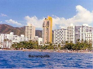 Barranquilla 