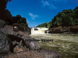 Jirijirimo- Vaupes 
