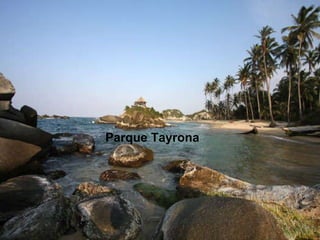 Parque Tayrona 