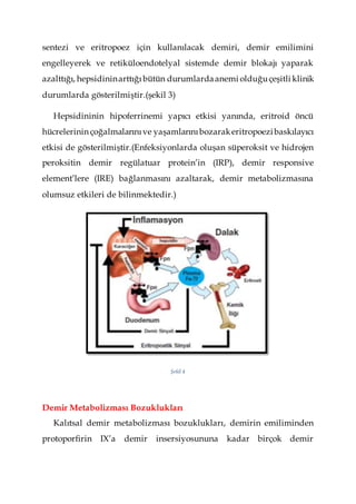 sentezi ve eritropoez için kullanılacak demiri, demir emilimini
engelleyerek ve retiküloendotelyal sistemde demir blokajı yaparak
azalttığı, hepsidininarttığıbütün durumlardaanemi olduğuçeşitli klinik
durumlarda gösterilmiştir.(şekil 3)
Hepsidininin hipoferrinemi yapıcı etkisi yanında, eritroid öncü
hücrelerinin çoğalmalarınıve yaşamlarınıbozarakeritropoezibaskılayıcı
etkisi de gösterilmiştir.(Enfeksiyonlarda oluşan süperoksit ve hidrojen
peroksitin demir regülatuar protein’in (IRP), demir responsive
element’lere (IRE) bağlanmasını azaltarak, demir metabolizmasına
olumsuz etkileri de bilinmektedir.)
Şekil 4
Demir Metabolizması Bozuklukları
Kalıtsal demir metabolizması bozuklukları, demirin emiliminden
protoporfirin IX’a demir insersiyosununa kadar birçok demir
 