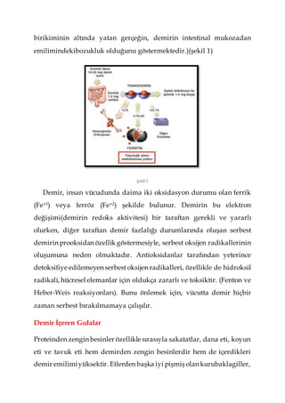 birikiminin altında yatan gerçeğin, demirin intestinal mukozadan
emilimindekibozukluk olduğunu göstermektedir.)(şekil 1)
Şekil 1
Demir, insan vücudunda daima iki oksidasyon durumu olan ferrik
(Fe+3) veya ferröz (Fe+2) şekilde bulunur. Demirin bu elektron
değişimi(demirin redoks aktivitesi) bir taraftan gerekli ve yararlı
olurken, diğer taraftan demir fazlalığı durumlarında oluşan serbest
demirin prooksidan özellik göstermesiyle, serbest oksijen radikallerinin
oluşumuna neden olmaktadır. Antioksidanlar tarafından yeterince
detoksifiye edilemeyen serbest oksijen radikalleri, özellikle de hidroksil
radikali, hücresel elemanlar için oldukça zararlı ve toksiktir. (Fenton ve
Heber-Weis reaksiyonları). Bunu önlemek için, vücutta demir hiçbir
zaman serbest bırakılmamaya çalışılır.
Demir İçeren Gıdalar
Proteinden zengin besinler özellikle sırasıyla sakatatlar, dana eti, koyun
eti ve tavuk eti hem demirden zengin besinlerdir hem de içerdikleri
demir emilimiyüksektir. Etlerden başka iyi pişmiş olan kurubaklagiller,
 