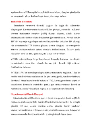apotransferrin-TfR reseptör kompleksi tekrar hücre yüzeyine gönderilir
ve transferrin tekrar kullanılmak üzere plazmaya salınır.
Transferin Reseptörü
Transferin reseptörü disülfid bağları ile bağlı iki subünitten
oluşmuştur. Reseptörünün eksterasellüler parçası, serumda bulunur.
(Serum transferrin reseptör (sTfR) düzeyi ölçümü, direkt olarak
organizmanın demire olan ihtiyacınını göstermektedir. Ayrıca serum
TfR’nin kaynağı olgunlaşan eritroid hücrelerden dökülen TfR olduğu
için de serumda sTfR ölçümü; plazma demir döngüsü ve eritropoetik
aktivite düzeyini tahmin etmek amacıyla kullanılabilir.) İki ayrı genle
kodlanan TfR1 ve TfR2 şeklinde, iki farklı TfR’ü vardır:
a.TfR1; enterositlerde kript bazolateral kısımda bulunur ve demiri
transferinden alan tüm hücrelerde, en çok kemik iliği eritrosit
öncülerinde bulunur.
b.TfR2; TFR1’in homoloğu olup diferrik transferine bağlanır. TfR1’ in
tersine tüm hücrelerde bulunmaz.En çok karaciğerde,kan hücrelerinde,
duodenal kript hücrelerinde bulunan TfR2, karaciğere demir depoları
sinyallerini iletmede önemlidir. (TfR2 gen mutasyonunun herediter
hemakromatosise yol açması, hepsidin ile ilişkisi belirlenmiştir.)
Organizmadaki Demir Dengesi
Günlük üretilen 300 milyon adet eritrosit için gerekli demirin (20-30
mg) çoğu, makrofajlardaki demir döngüsünden elde edilir. Bu sebeple
günlük 1-2 mg. demir emilimi ancak günlük demir kaybının
karşılayabileceğinden, eritropoezis için kemik iliğinin demir ihtiyacının
karşılanmasında demirin vücuttaki iç döngüsü çok önem taşır.
 