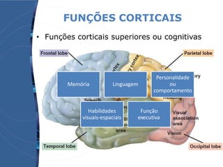 FUNÇÕES CORTICAIS
Memória Linguagem
Personalidade
ou
comportamento
Habilidades
visuais-espaciais
Função
executiva
• Funções corticais superiores ou cognitivas
 