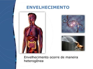 ENVELHECIMENTO
Envelhecimento ocorre de maneira
heterogênea
 