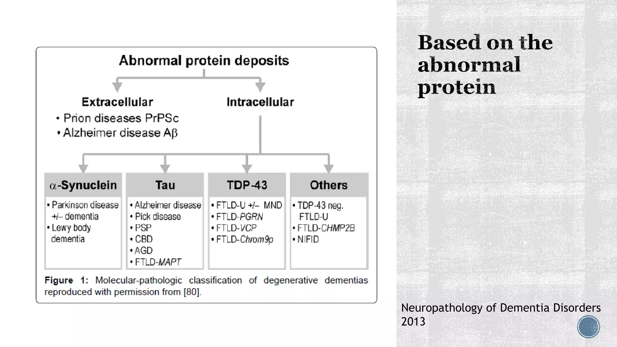 Neuropathology of Dementia Disorders
2013
 
