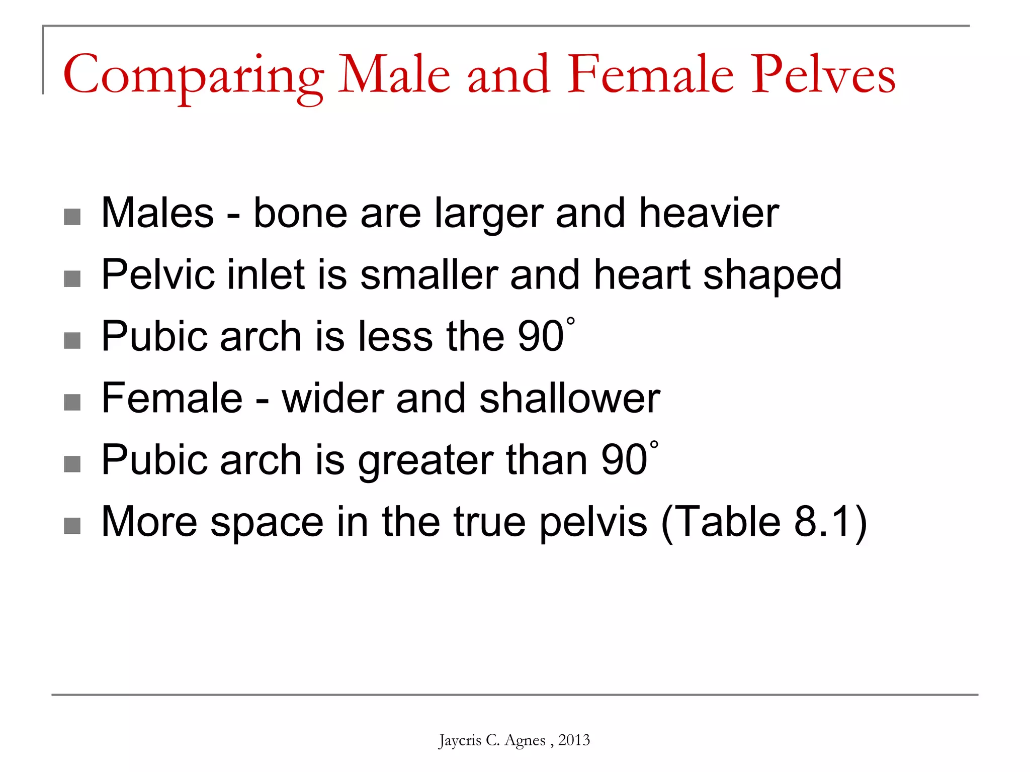 Comparing Male and Female Pelves
 Males - bone are larger and heavier
 Pelvic inlet is smaller and heart shaped
 Pubic arch is less the 90°
 Female - wider and shallower
 Pubic arch is greater than 90°
 More space in the true pelvis (Table 8.1)
Jaycris C. Agnes , 2013
 