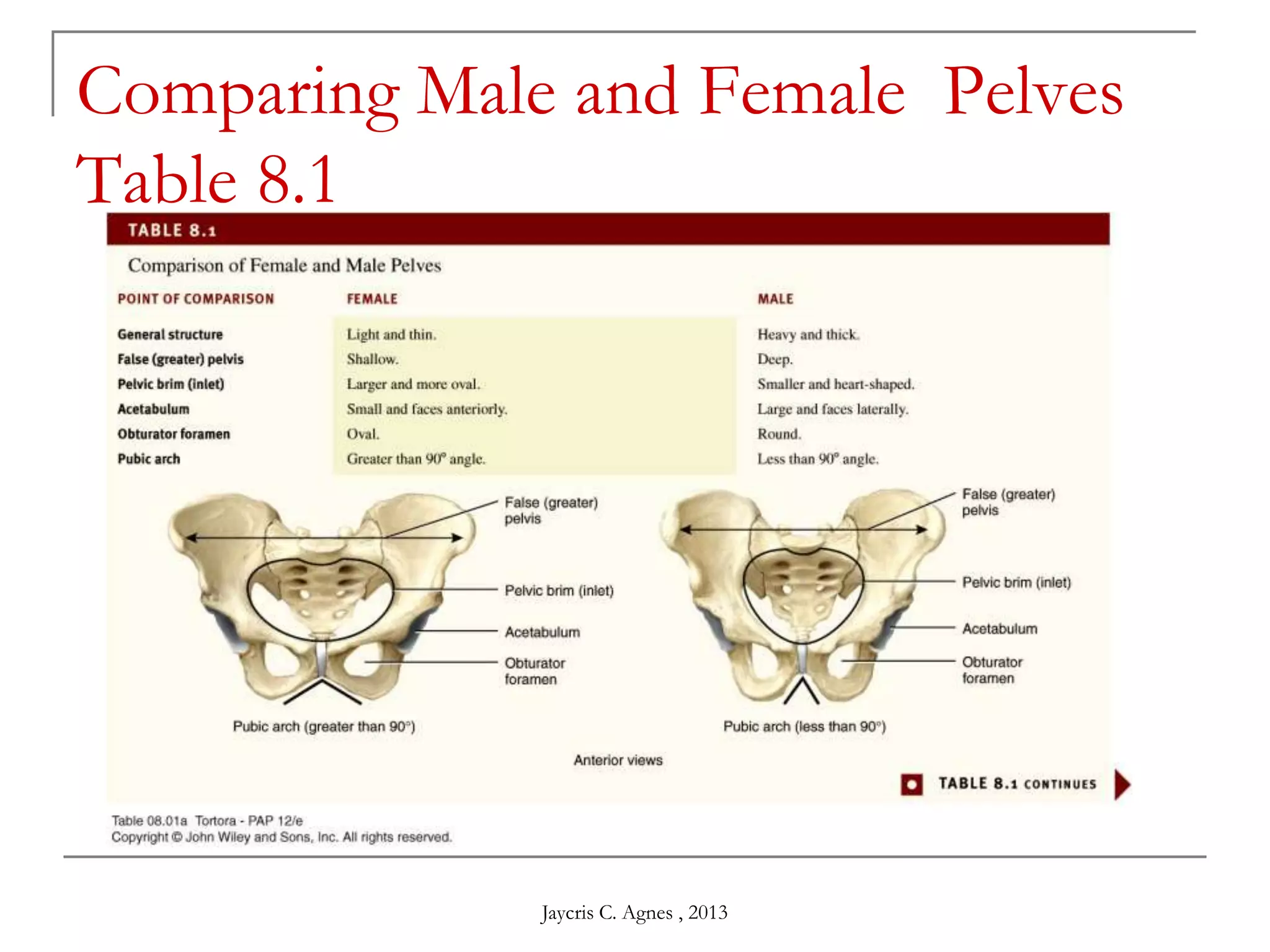 Comparing Male and Female Pelves
Table 8.1
Jaycris C. Agnes , 2013
 