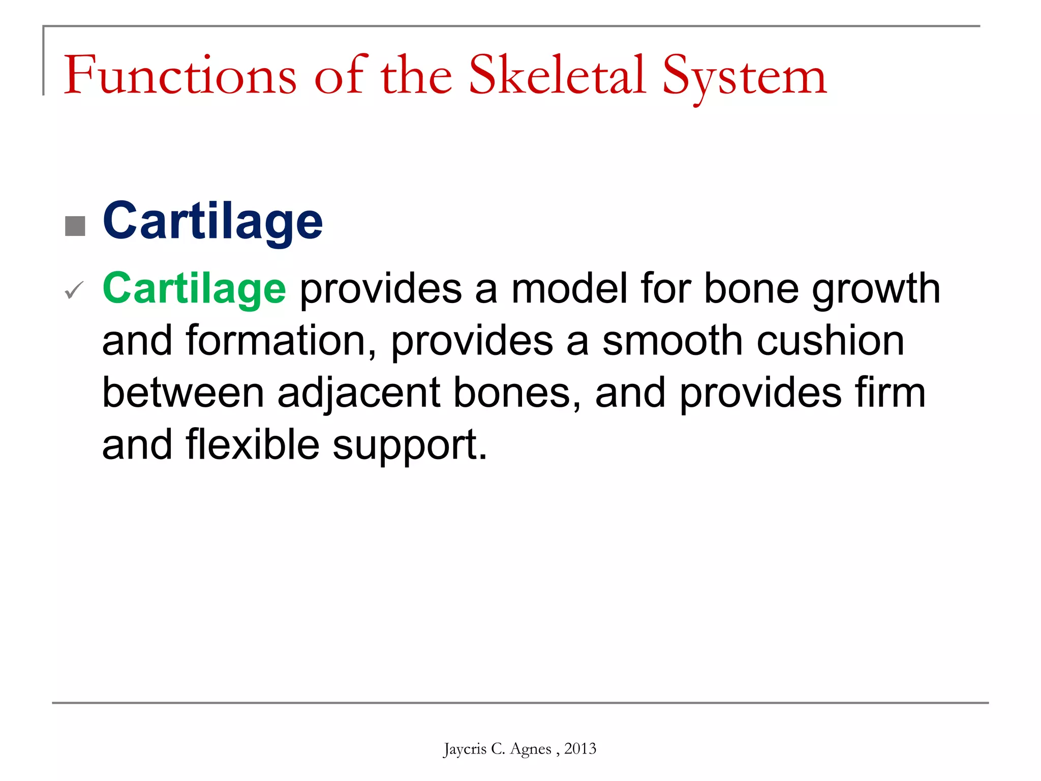 Functions of the Skeletal System
 Cartilage
 Cartilage provides a model for bone growth
and formation, provides a smooth cushion
between adjacent bones, and provides firm
and flexible support.
Jaycris C. Agnes , 2013
 
