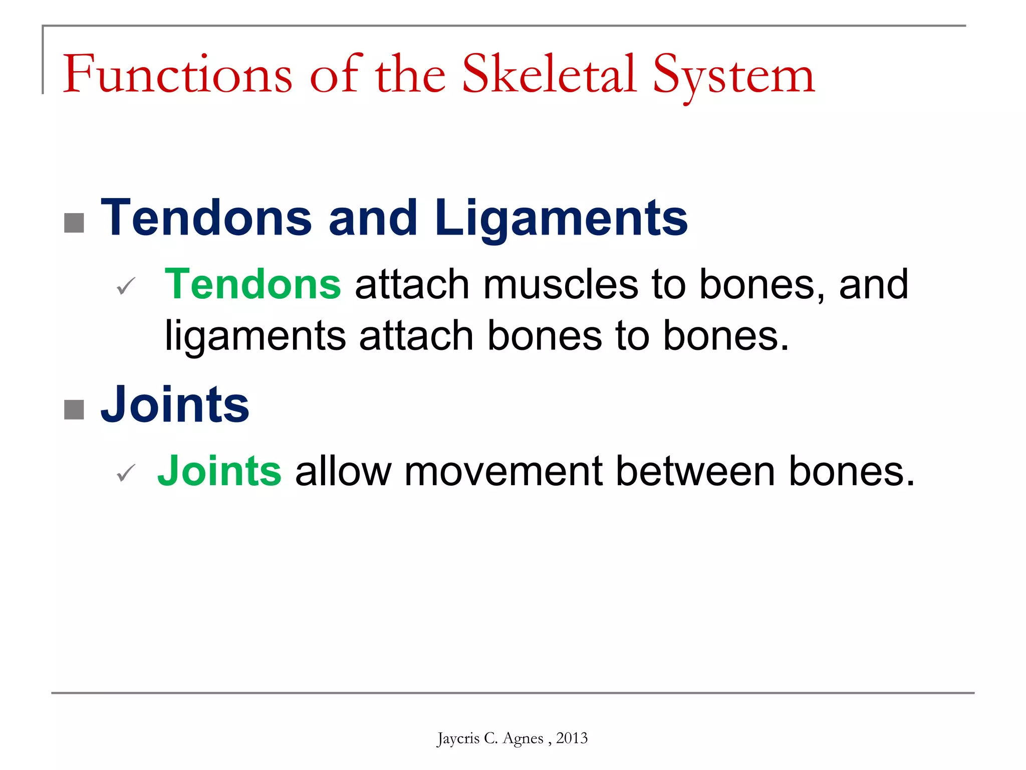 Functions of the Skeletal System
 Tendons and Ligaments
 Tendons attach muscles to bones, and
ligaments attach bones to bones.
 Joints
 Joints allow movement between bones.
Jaycris C. Agnes , 2013
 