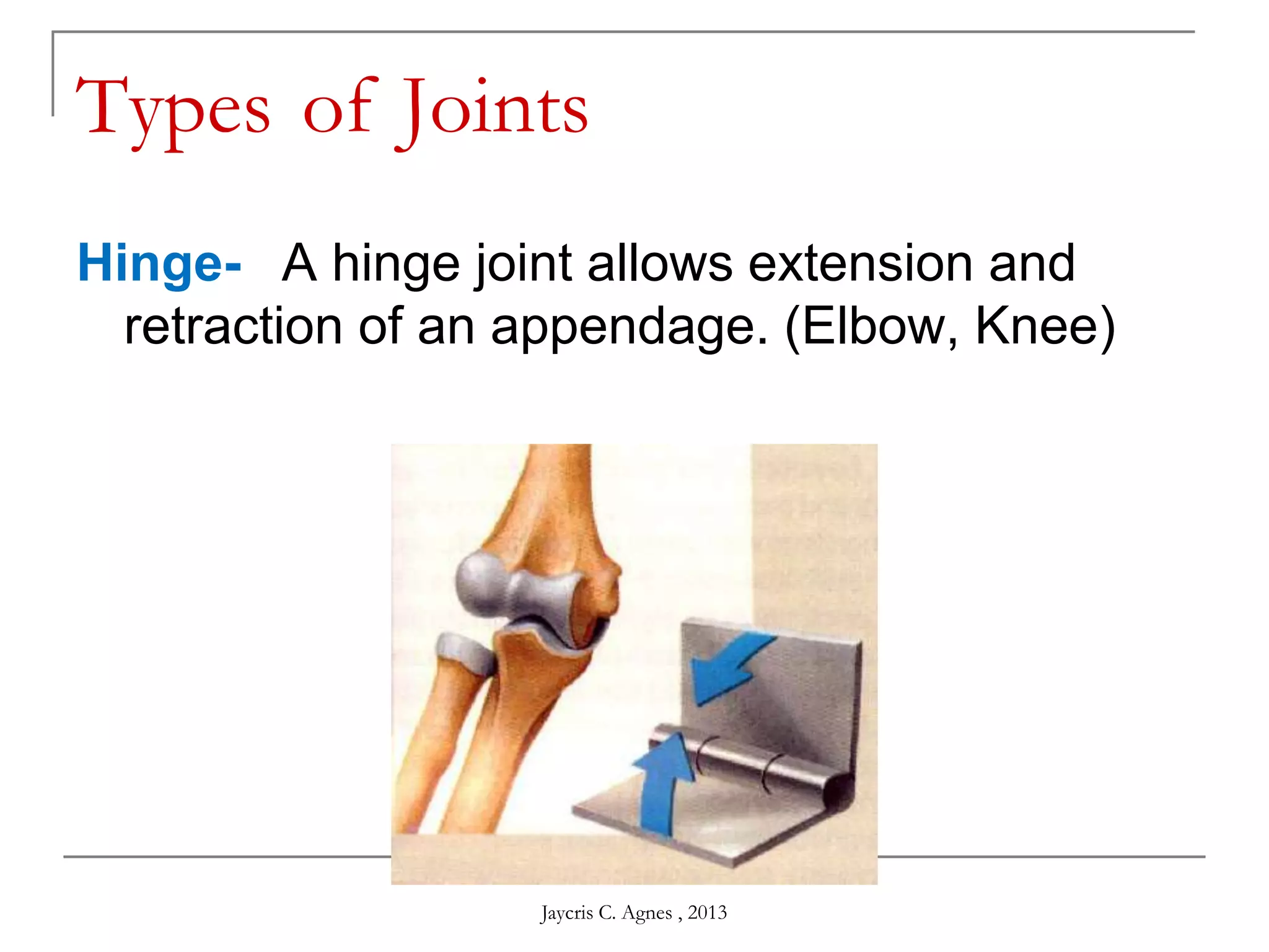 Types of Joints
Hinge-  A hinge joint allows extension and
retraction of an appendage. (Elbow, Knee)
Jaycris C. Agnes , 2013
 