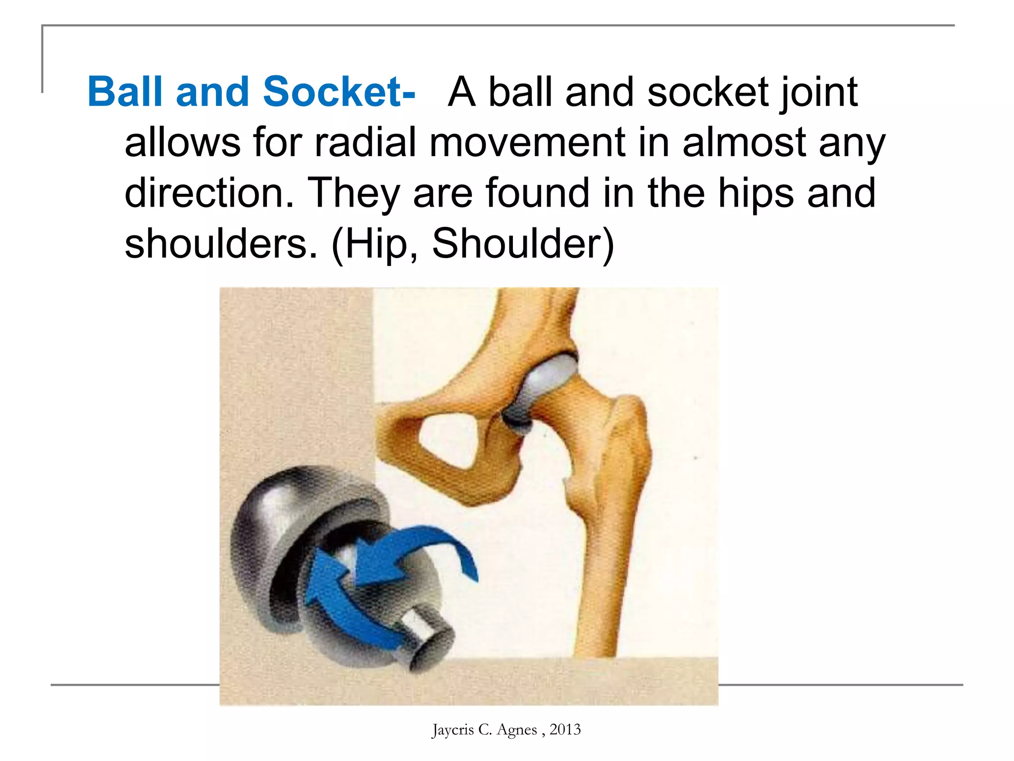 Ball and Socket-  A ball and socket joint
allows for radial movement in almost any
direction. They are found in the hips and
shoulders. (Hip, Shoulder)
Jaycris C. Agnes , 2013
 