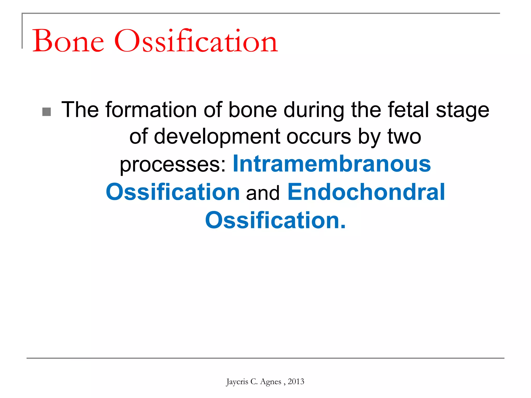 Bone Ossification
 The formation of bone during the fetal stage
of development occurs by two
processes: Intramembranous
Ossification and Endochondral
Ossification.
Jaycris C. Agnes , 2013
 
