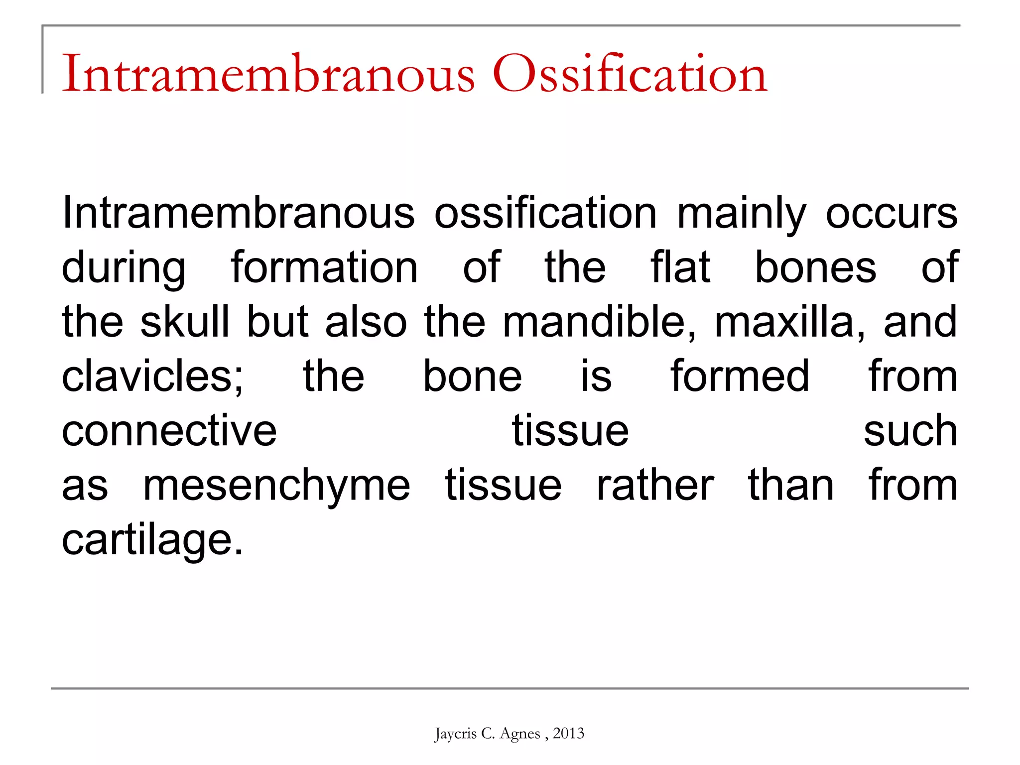 Intramembranous Ossification
Intramembranous ossification mainly occurs
during formation of the flat bones of
the skull but also the mandible, maxilla, and
clavicles; the bone is formed from
connective tissue such
as mesenchyme tissue rather than from
cartilage.
Jaycris C. Agnes , 2013
 