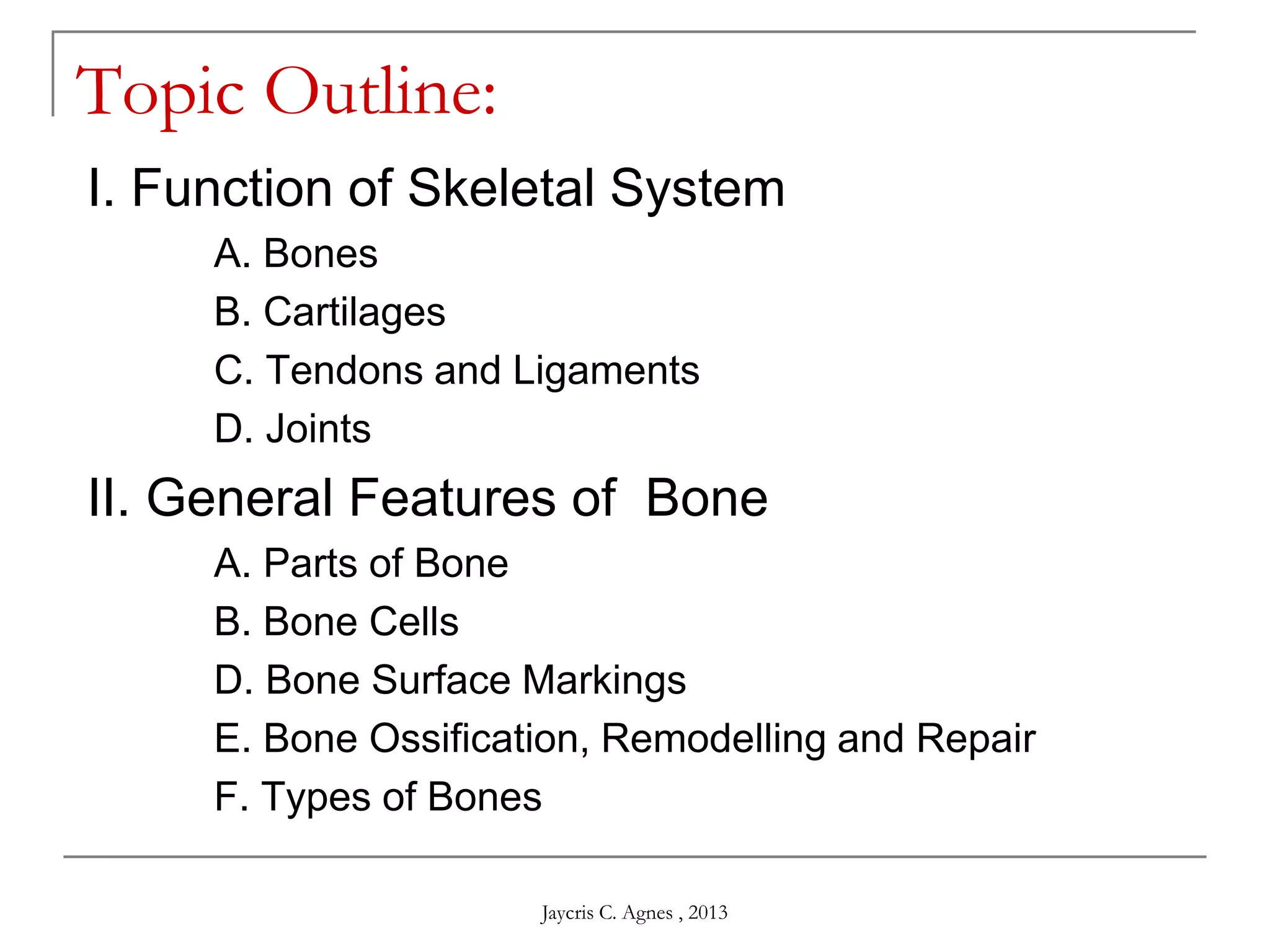Topic Outline:
I. Function of Skeletal System
A. Bones
B. Cartilages
C. Tendons and Ligaments
D. Joints
II. General Features of Bone
A. Parts of Bone
B. Bone Cells
D. Bone Surface Markings
E. Bone Ossification, Remodelling and Repair
F. Types of Bones
Jaycris C. Agnes , 2013
 