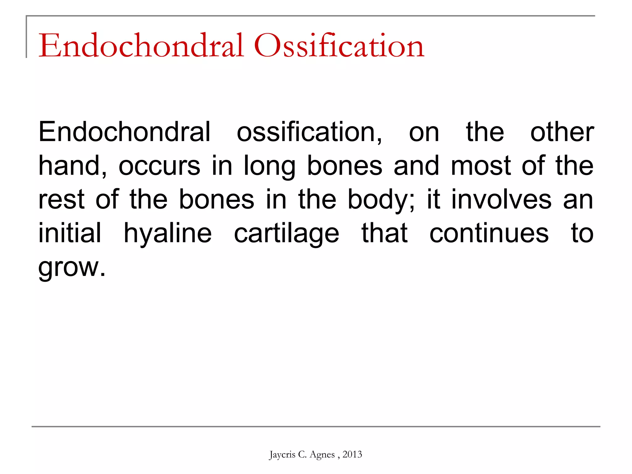 Endochondral Ossification
Endochondral ossification, on the other
hand, occurs in long bones and most of the
rest of the bones in the body; it involves an
initial hyaline cartilage that continues to
grow.
Jaycris C. Agnes , 2013
 