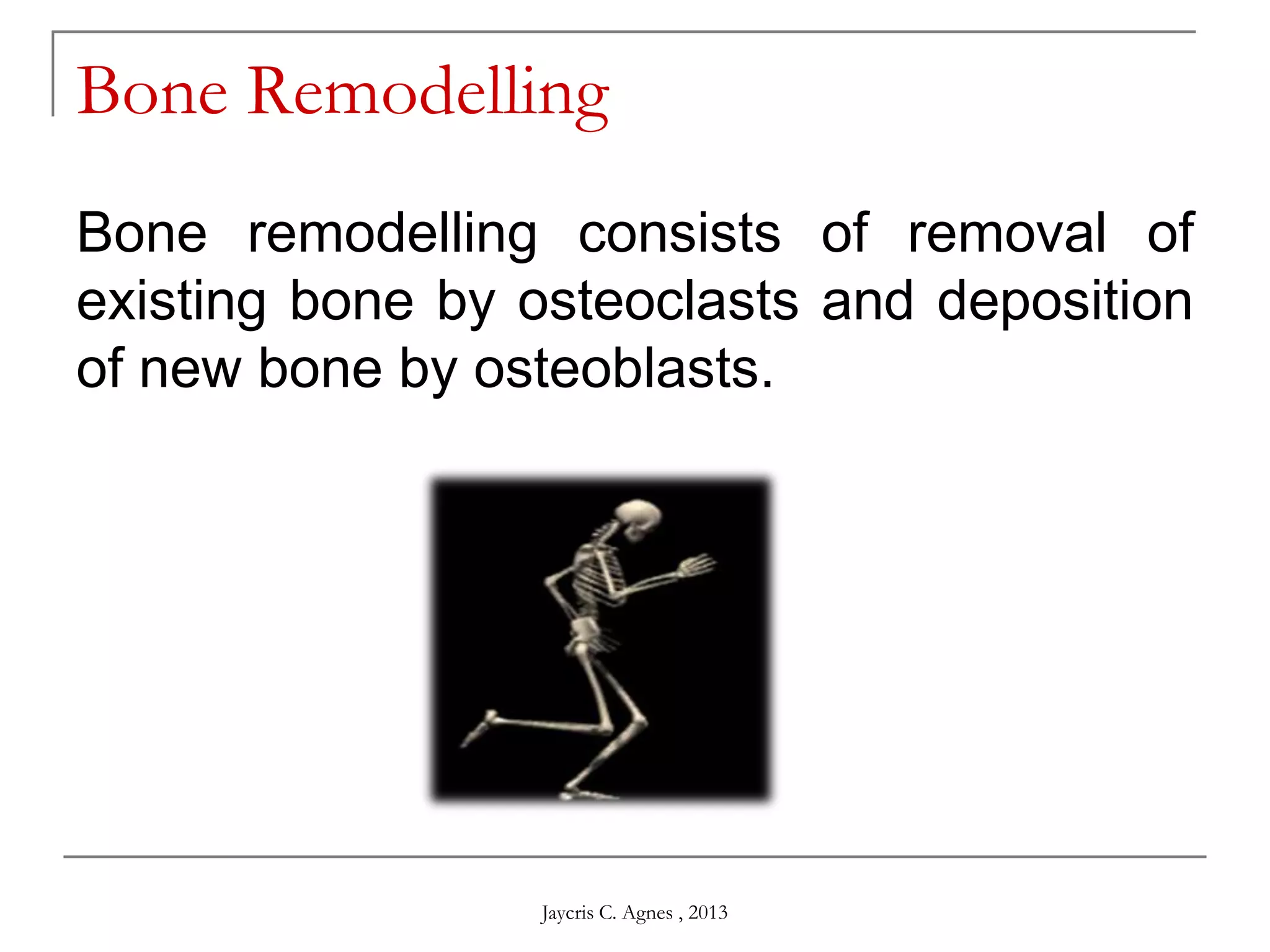 Bone Remodelling
Bone remodelling consists of removal of
existing bone by osteoclasts and deposition
of new bone by osteoblasts.
Jaycris C. Agnes , 2013
 