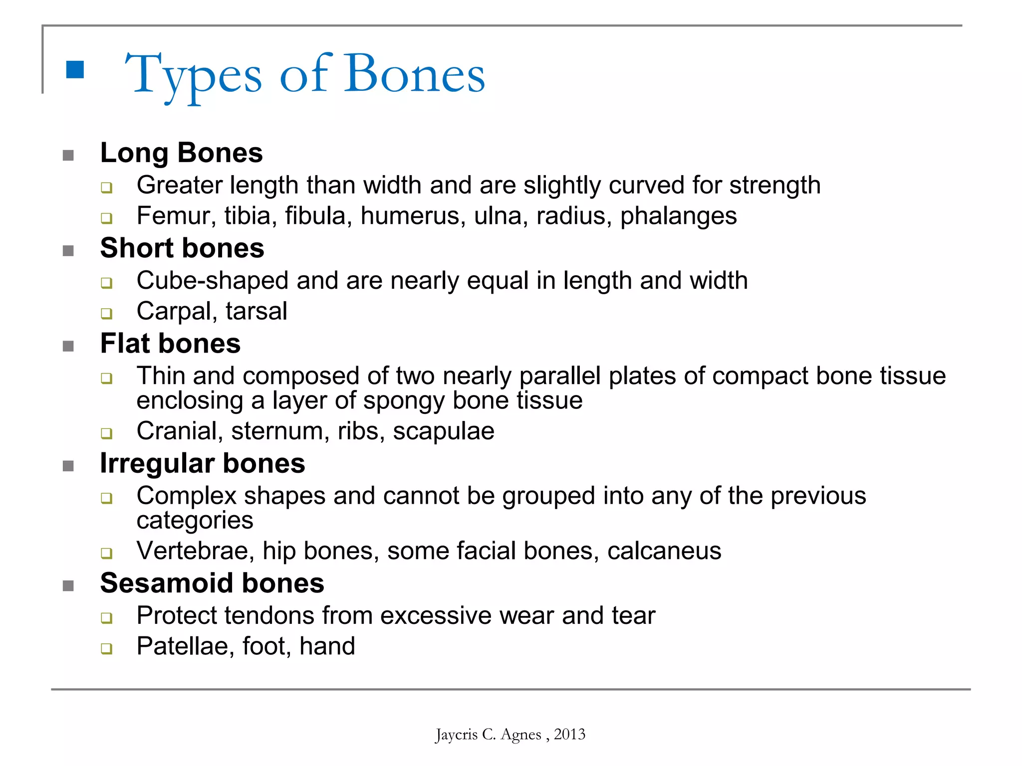  Types of Bones
 Long Bones
 Greater length than width and are slightly curved for strength
 Femur, tibia, fibula, humerus, ulna, radius, phalanges
 Short bones
 Cube-shaped and are nearly equal in length and width
 Carpal, tarsal
 Flat bones
 Thin and composed of two nearly parallel plates of compact bone tissue
enclosing a layer of spongy bone tissue
 Cranial, sternum, ribs, scapulae
 Irregular bones
 Complex shapes and cannot be grouped into any of the previous
categories
 Vertebrae, hip bones, some facial bones, calcaneus
 Sesamoid bones
 Protect tendons from excessive wear and tear
 Patellae, foot, hand
Jaycris C. Agnes , 2013
 