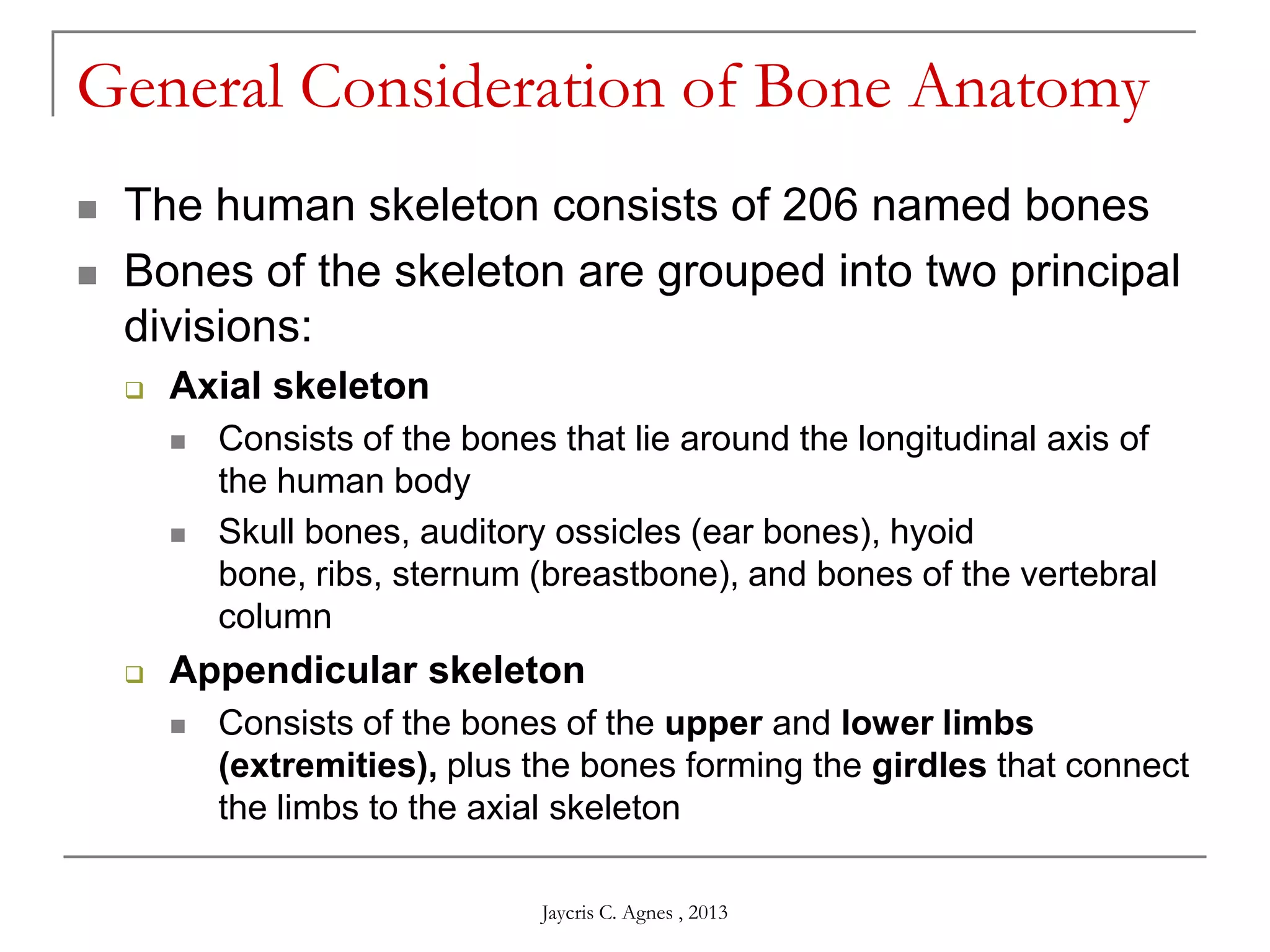 General Consideration of Bone Anatomy
 The human skeleton consists of 206 named bones
 Bones of the skeleton are grouped into two principal
divisions:
 Axial skeleton
 Consists of the bones that lie around the longitudinal axis of
the human body
 Skull bones, auditory ossicles (ear bones), hyoid
bone, ribs, sternum (breastbone), and bones of the vertebral
column
 Appendicular skeleton
 Consists of the bones of the upper and lower limbs
(extremities), plus the bones forming the girdles that connect
the limbs to the axial skeleton
Jaycris C. Agnes , 2013
 