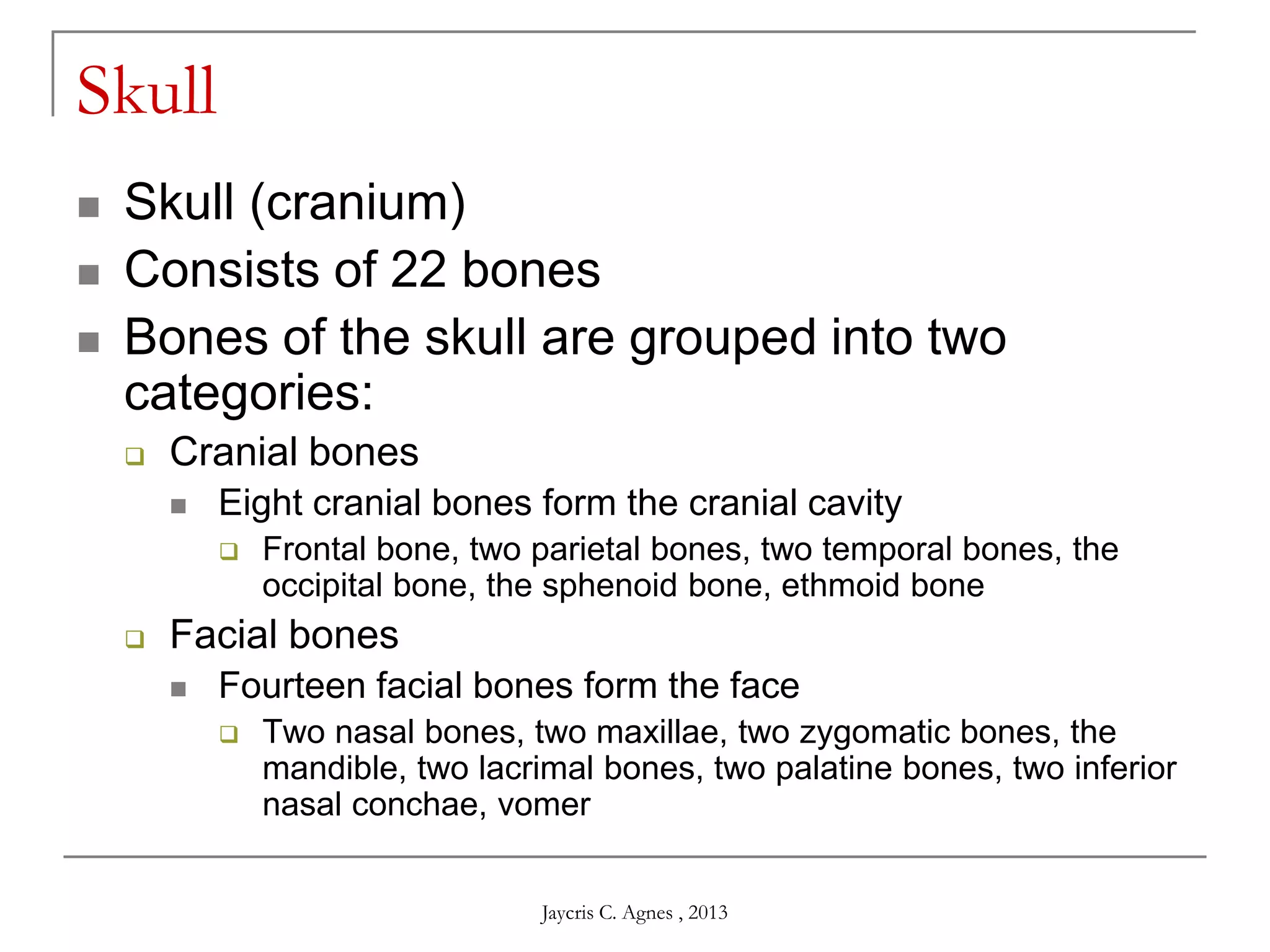 Skull
 Skull (cranium)
 Consists of 22 bones
 Bones of the skull are grouped into two
categories:
 Cranial bones
 Eight cranial bones form the cranial cavity
 Frontal bone, two parietal bones, two temporal bones, the
occipital bone, the sphenoid bone, ethmoid bone
 Facial bones
 Fourteen facial bones form the face
 Two nasal bones, two maxillae, two zygomatic bones, the
mandible, two lacrimal bones, two palatine bones, two inferior
nasal conchae, vomer
Jaycris C. Agnes , 2013
 