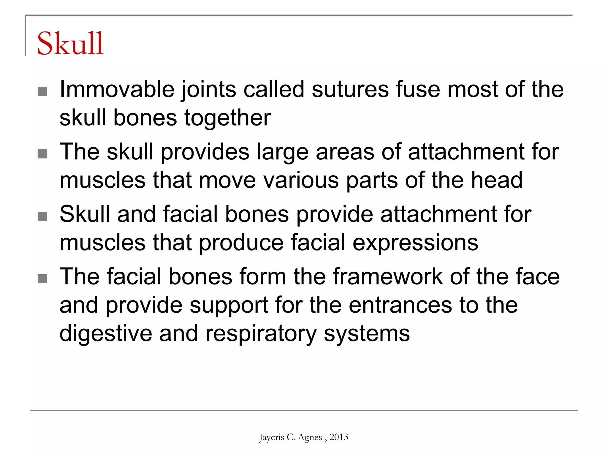 Skull
 Immovable joints called sutures fuse most of the
skull bones together
 The skull provides large areas of attachment for
muscles that move various parts of the head
 Skull and facial bones provide attachment for
muscles that produce facial expressions
 The facial bones form the framework of the face
and provide support for the entrances to the
digestive and respiratory systems
Jaycris C. Agnes , 2013
 