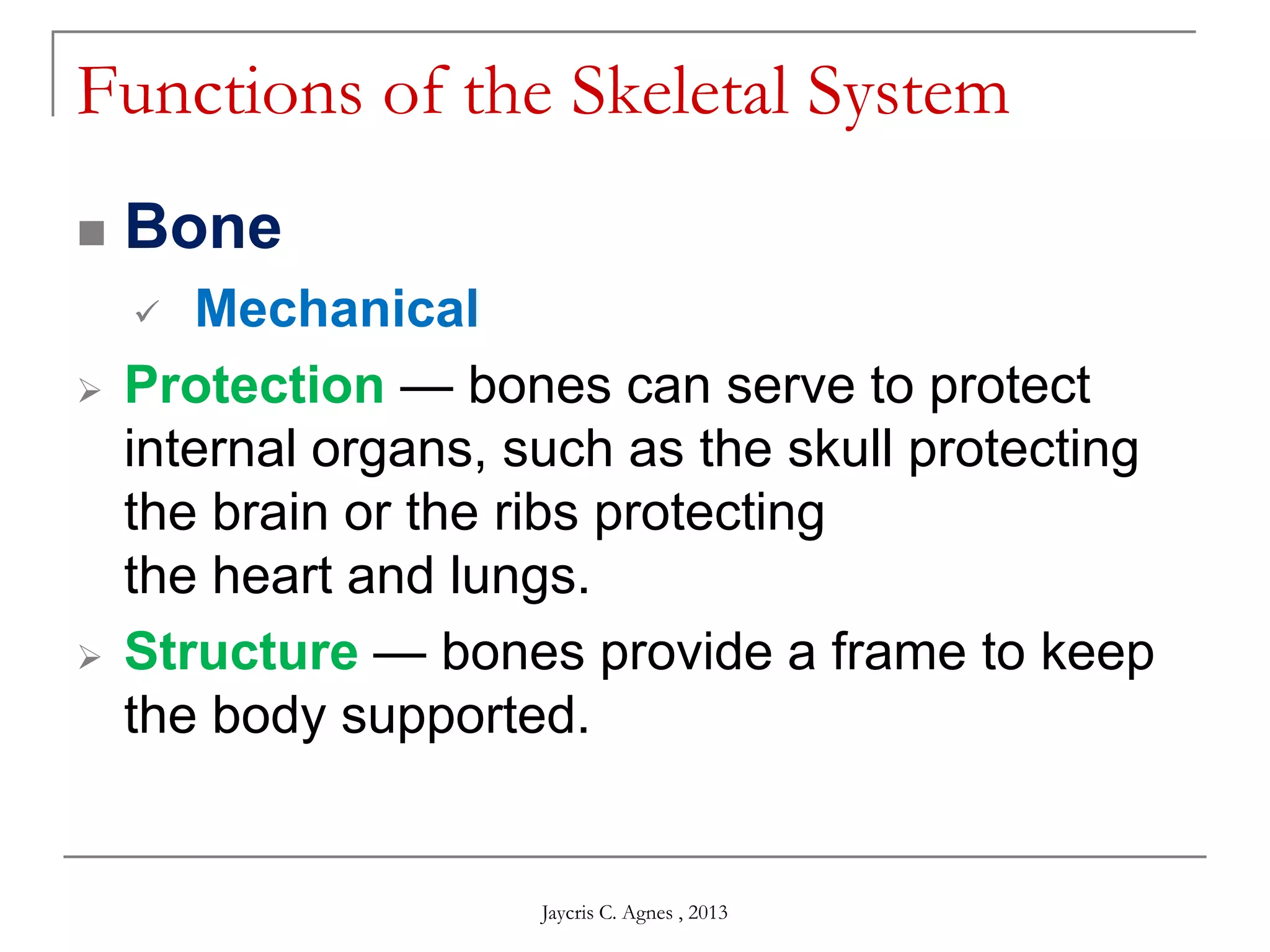 Functions of the Skeletal System
 Bone
 Mechanical
 Protection — bones can serve to protect
internal organs, such as the skull protecting
the brain or the ribs protecting
the heart and lungs.
 Structure — bones provide a frame to keep
the body supported.
Jaycris C. Agnes , 2013
 