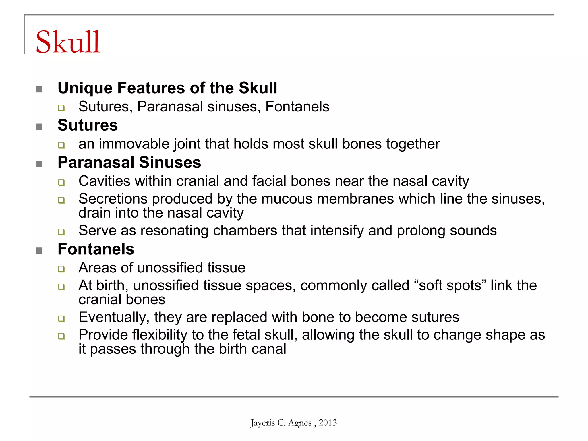Skull
 Unique Features of the Skull
 Sutures, Paranasal sinuses, Fontanels
 Sutures
 an immovable joint that holds most skull bones together
 Paranasal Sinuses
 Cavities within cranial and facial bones near the nasal cavity
 Secretions produced by the mucous membranes which line the sinuses,
drain into the nasal cavity
 Serve as resonating chambers that intensify and prolong sounds
 Fontanels
 Areas of unossified tissue
 At birth, unossified tissue spaces, commonly called ―soft spots‖ link the
cranial bones
 Eventually, they are replaced with bone to become sutures
 Provide flexibility to the fetal skull, allowing the skull to change shape as
it passes through the birth canal
Jaycris C. Agnes , 2013
 